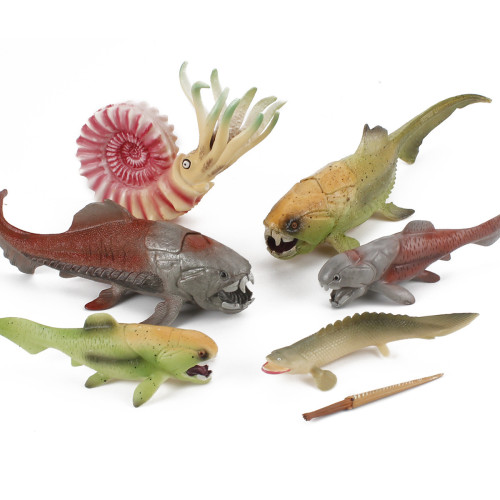 鸚鵡螺桿菊石鄧氏魚裝飾擺件玩具仿真海洋遠古生物模型 鸚鵡螺桿菊石鄧氏魚裝飾擺件玩具仿真海洋遠古生物模型