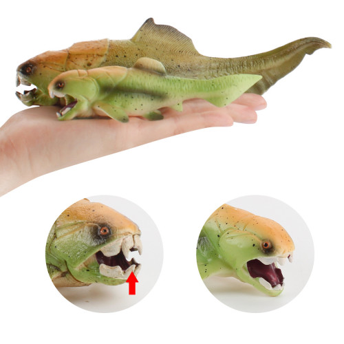 鸚鵡螺桿菊石鄧氏魚裝飾擺件玩具仿真海洋遠古生物模型 鸚鵡螺桿菊石鄧氏魚裝飾擺件玩具仿真海洋遠古生物模型