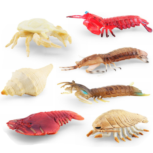 仿真海洋生物模型皮皮蝦螃蟹大王具足蟲海底動物靜態擺件
