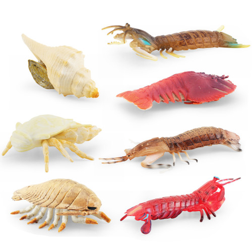 仿真海洋生物模型皮皮蝦螃蟹大王具足蟲海底動物靜態擺件