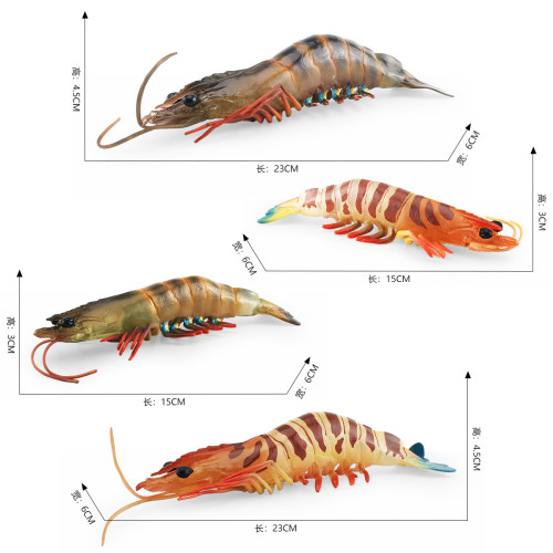 家兒童認知仿真海洋生物模型斑節對蝦水生虎蝦海底靜態擺件 家兒童認知仿真海洋生物模型斑節對蝦水生虎蝦海底靜態擺件