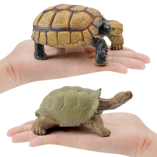 家仿真兩棲爬行動物模型陸龜象龜星龜靜態裝飾認知擺件玩具