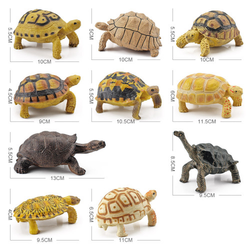 家仿真兩棲爬行動物模型陸龜象龜星龜靜態裝飾認知擺件玩具