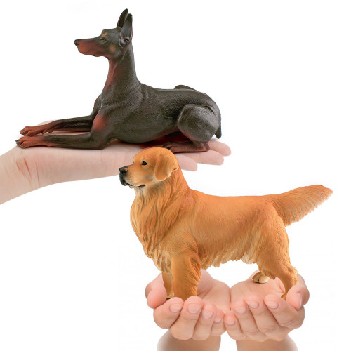 仿真寵物狗狗模型 大號實心金毛柴犬杜賓犬靜態擺件玩具 仿真寵物狗狗模型 大號實心金毛柴犬杜賓犬靜態擺件玩具