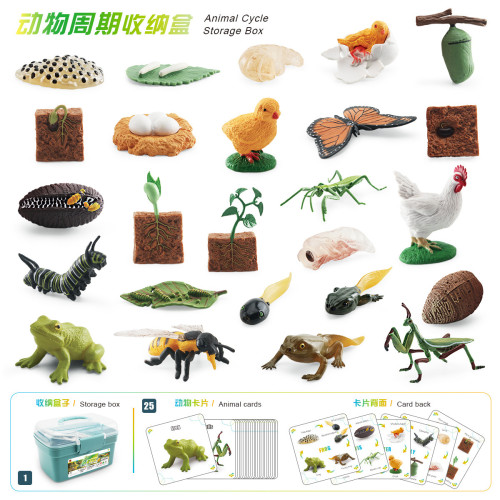 家仿真植物蝴蝶蜜蜂青蛙模型動植物成長周期收納盒套裝玩具 家仿真植物蝴蝶蜜蜂青蛙模型動植物成長周期收納盒套裝玩具