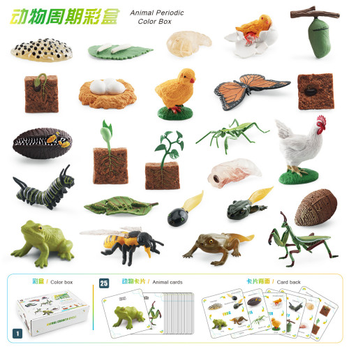 家仿真崑蟲成長周期彩盒套裝植物蜜蜂蝴蝶青蛙模型擺件套裝 家仿真崑蟲成長周期彩盒套裝植物蜜蜂蝴蝶青蛙模型擺件套裝