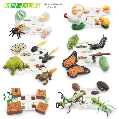 家仿真崑蟲成長周期彩盒套裝植物蜜蜂蝴蝶青蛙模型擺件套裝 家仿真崑蟲成長周期彩盒套裝植物蜜蜂蝴蝶青蛙模型擺件套裝