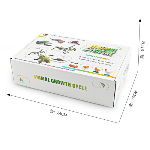 家仿真崑蟲成長周期彩盒套裝植物蜜蜂蝴蝶青蛙模型擺件套裝 家仿真崑蟲成長周期彩盒套裝植物蜜蜂蝴蝶青蛙模型擺件套裝