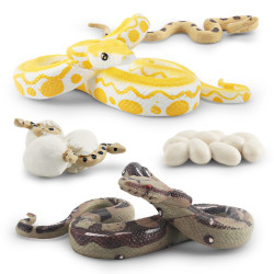 家仿真森林動物蟒蛇成長周期模型緬甸蟒梅花蟒生長周期模型