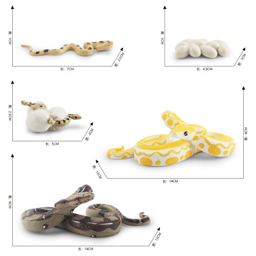 家仿真森林動物蟒蛇成長周期模型緬甸蟒梅花蟒生長周期模型 家仿真森林動物蟒蛇成長周期模型緬甸蟒梅花蟒生長周期模型