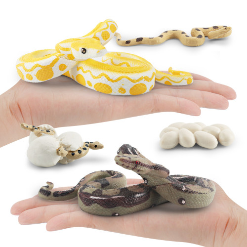 家仿真森林動物蟒蛇成長周期模型緬甸蟒梅花蟒生長周期模型 家仿真森林動物蟒蛇成長周期模型緬甸蟒梅花蟒生長周期模型