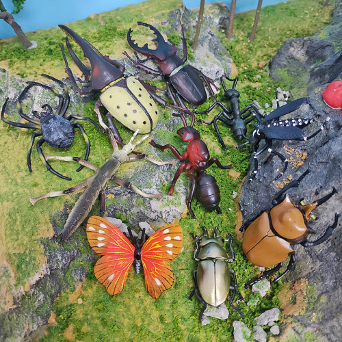 兒童科教動物模型仿真實心金蜘蝴蝶蜻蜓崑蟲動物靜態擺件