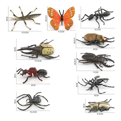 兒童科教動物模型仿真實心金蜘蝴蝶蜻蜓崑蟲動物靜態擺件