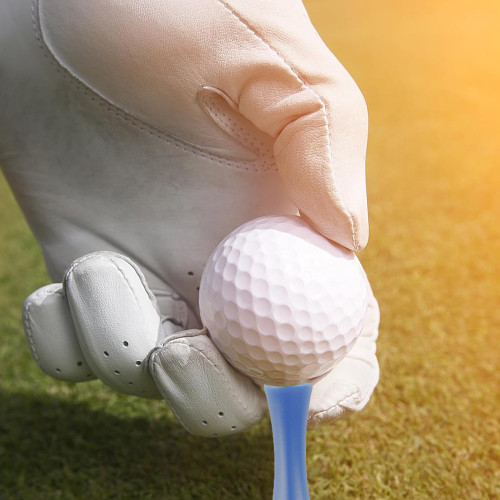 高爾夫球釘68mm輪型釘golf球托塑膠tee練習用品限位球釘