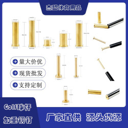 高爾夫配重銅釘鐵桿木桿加重器球桿重量調節golf組裝配件