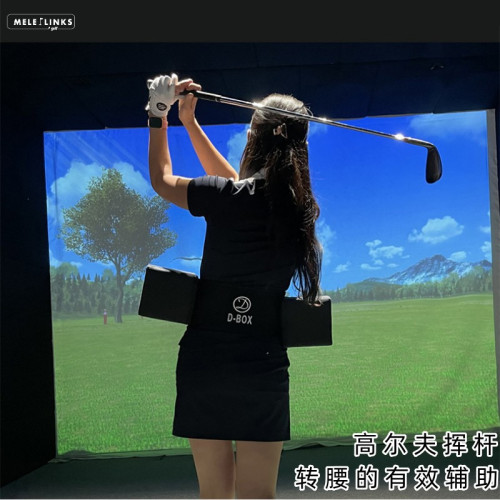 高爾夫揮桿轉腰練習器姿勢糾正器輔助練習檢測盒子Dbox 用品配件 高爾夫揮桿轉腰練習器姿勢糾正器輔助練習檢測盒子Dbox 用品配件