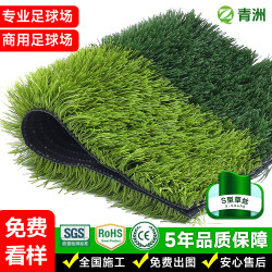 青洲人造草坪人工草坪S型13000D戶外運動足球場草坪
