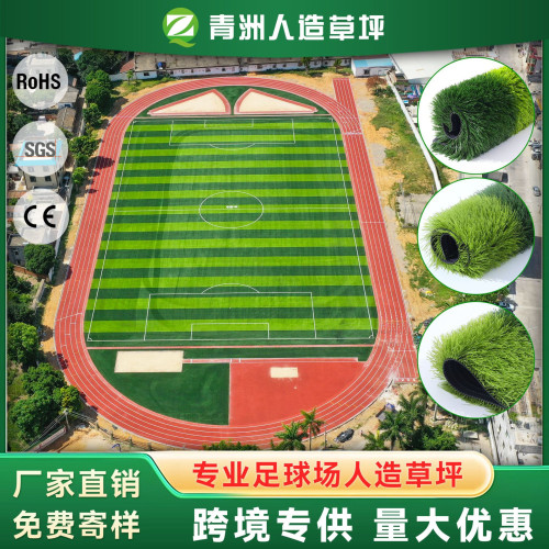 青洲人造草坪人工草坪S型13000D戶外運動足球場草坪 青洲人造草坪人工草坪S型13000D戶外運動足球場草坪