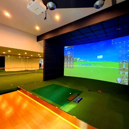 高爾夫模擬器迴球區專用草坪地台鋪設減震膠墊室內果嶺草裝飾材料