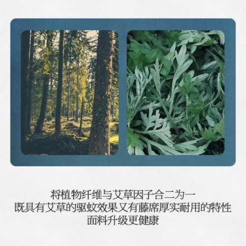 夏季涼蓆天然艾草藤蓆涼感蓆子可裸睡可折曡冰絲學生宿舍單人可用 夏季涼蓆天然艾草藤蓆涼感蓆子可裸睡可折曡冰絲學生宿舍單人可用