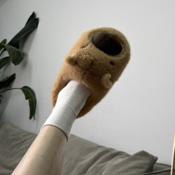 25年醜萌卡皮巴拉棉拖鞋女秋冬季家用家居毛拖鞋室內居家毛絨棉鞋