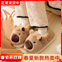 25年醜萌卡皮巴拉棉鞋女冬天家用家居毛絨棉拖鞋秋冬季居家毛拖鞋