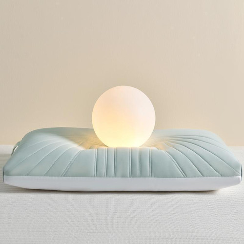 夏季超柔涼感冰絲乳膠枕頭一對裝護頸椎助睡眠家用學生宿舍枕頭芯 夏季超柔涼感冰絲乳膠枕頭一對裝護頸椎助睡眠家用學生宿舍枕頭芯