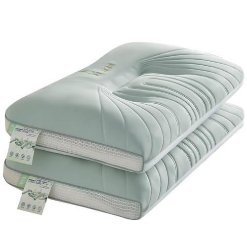 夏季超柔涼感冰絲乳膠枕頭一對裝護頸椎助睡眠家用學生宿舍枕頭芯 夏季超柔涼感冰絲乳膠枕頭一對裝護頸椎助睡眠家用學生宿舍枕頭芯