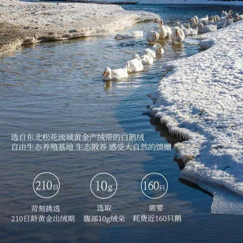 希爾頓五星級酒店羽絨被95白鵞絨春秋被芯冬被子家用夏季被子 希爾頓五星級酒店羽絨被95白鵞絨春秋被芯冬被子家用夏季被子