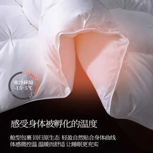 希爾頓五星級酒店羽絨被95白鵞絨春秋被芯冬被子家用夏季被子 希爾頓五星級酒店羽絨被95白鵞絨春秋被芯冬被子家用夏季被子