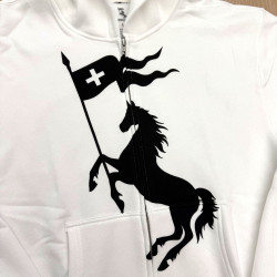 KK11 2Hollis Coachella Zip-Up Hoodie會場限定拉鍊帽衫外套