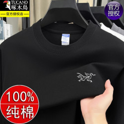 啄木鳥秋季新款純棉寬松衛衣男士圓領休閒透氣百搭長袖t恤上衣潮