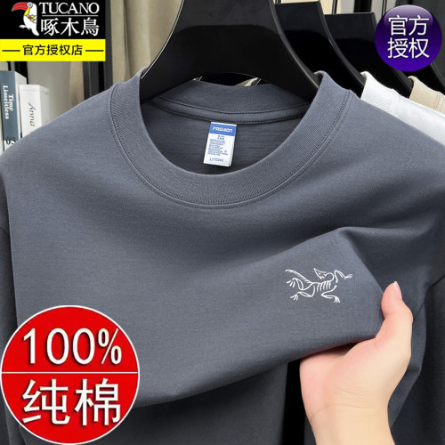 啄木鳥秋季新款純棉寬松衛衣男士圓領休閒透氣百搭長袖t恤上衣潮 啄木鳥秋季新款純棉寬松衛衣男士圓領休閒透氣百搭長袖t恤上衣潮