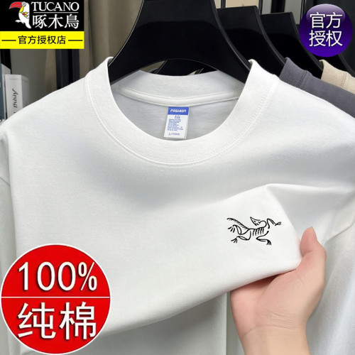 啄木鳥秋季新款純棉寬松衛衣男士圓領休閒透氣百搭長袖t恤上衣潮 啄木鳥秋季新款純棉寬松衛衣男士圓領休閒透氣百搭長袖t恤上衣潮