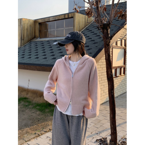 簡約風純色連帽拉鍊開衫加厚2025秋新款韓版百搭寬松顯瘦針織上衣