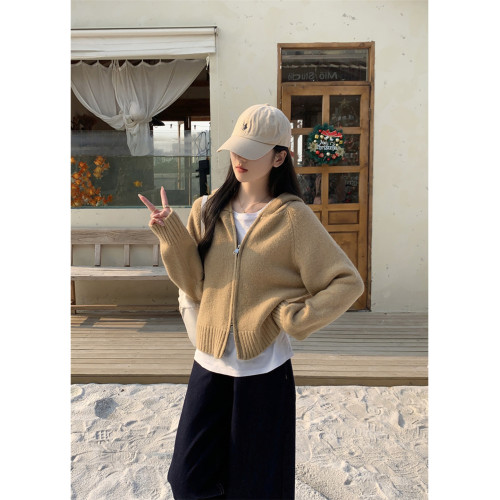 簡約風純色連帽拉鍊開衫加厚2025秋新款韓版百搭寬松顯瘦針織上衣