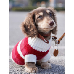 臘腸衣服狗狗毛衣小型犬貓咪幼犬保暖寵物加厚秋冬裝聖誕節打底衫