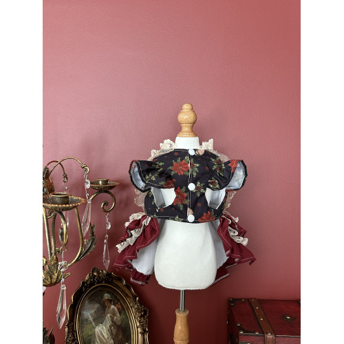 AW寵物聖誕節金色華年小型犬狗狗博美新年戰袍貓咪輕奢公主宮廷風 AW寵物聖誕節金色華年小型犬狗狗博美新年戰袍貓咪輕奢公主宮廷風