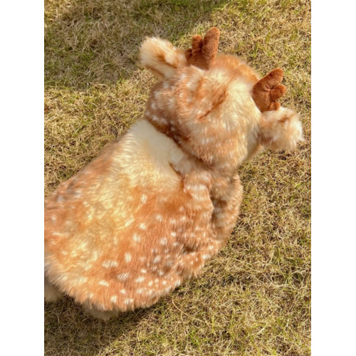 馬爾濟斯衣服狗狗麋鹿披風寵物貓咪西施犬博美聖誕節裝扮保暖鬭篷 馬爾濟斯衣服狗狗麋鹿披風寵物貓咪西施犬博美聖誕節裝扮保暖鬭篷