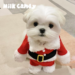 狗狗聖誕老人衣服小型犬小狗寵物聖誕節變裝冬裝貓咪可愛服裝冬季