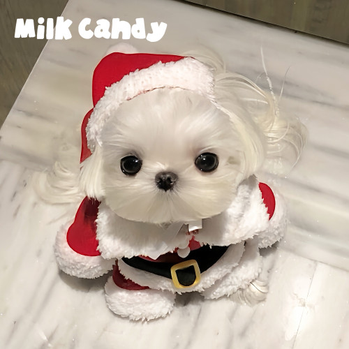 狗狗聖誕老人衣服小型犬小狗寵物聖誕節變裝冬裝貓咪可愛服裝冬季 狗狗聖誕老人衣服小型犬小狗寵物聖誕節變裝冬裝貓咪可愛服裝冬季