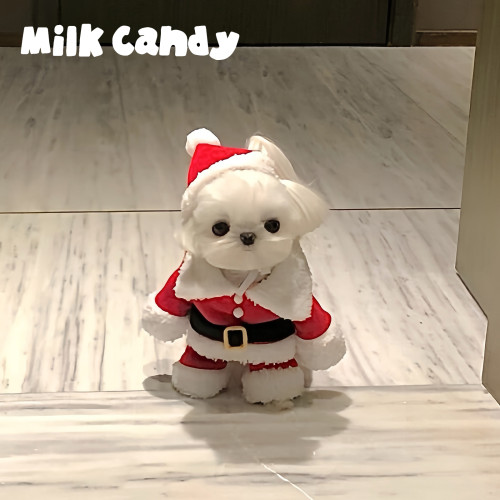 狗狗聖誕老人衣服小型犬小狗寵物聖誕節變裝冬裝貓咪可愛服裝冬季 狗狗聖誕老人衣服小型犬小狗寵物聖誕節變裝冬裝貓咪可愛服裝冬季