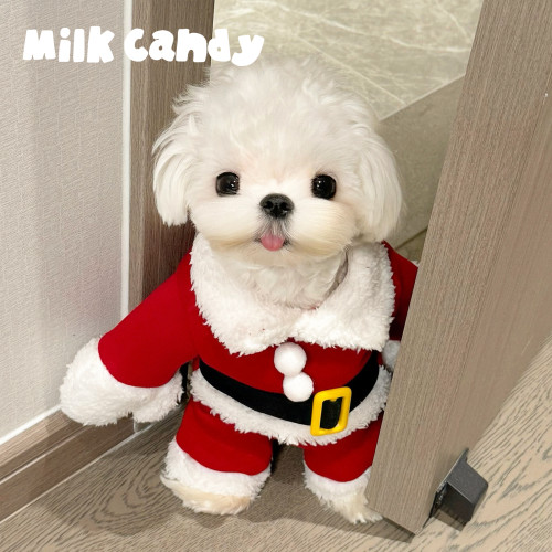狗狗聖誕老人衣服小型犬小狗寵物聖誕節變裝冬裝貓咪可愛服裝冬季 狗狗聖誕老人衣服小型犬小狗寵物聖誕節變裝冬裝貓咪可愛服裝冬季