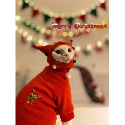 冬季斯芬克斯無毛貓德文貓衣服聖誕節新年氛圍衛衣狗狗小貓咪外套 冬季斯芬克斯無毛貓德文貓衣服聖誕節新年氛圍衛衣狗狗小貓咪外套