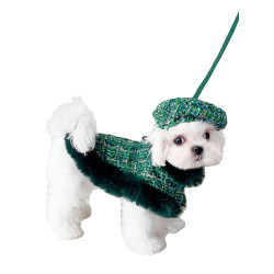 狗狗小香風鬭篷寵物披風聖誕節英倫貓咪胸背帶牽引繩輕奢毛毛裙子