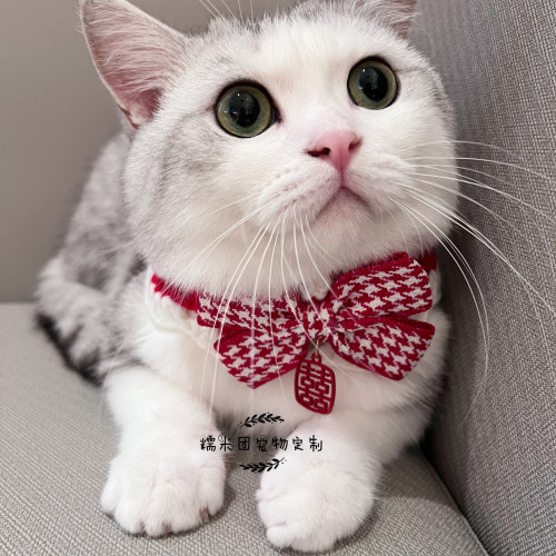 手工編織馬年毛線圍嘴新年寵物飾品貓咪圍脖狗狗聖誕節項圈領結 手工編織馬年毛線圍嘴新年寵物飾品貓咪圍脖狗狗聖誕節項圈領結