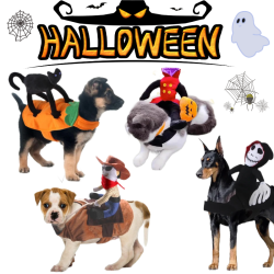 狗狗萬聖節服裝戶外搞笑搞怪服裝扮有趣騎士服貓咪衣服酷帥騎馬裝