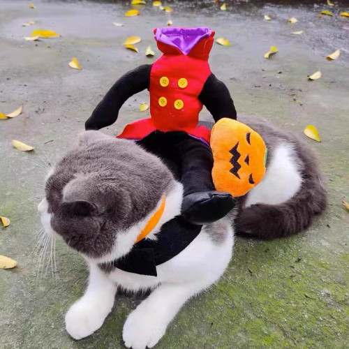 狗狗萬聖節服裝戶外搞笑搞怪服裝扮有趣騎士服貓咪衣服酷帥騎馬裝 狗狗萬聖節服裝戶外搞笑搞怪服裝扮有趣騎士服貓咪衣服酷帥騎馬裝