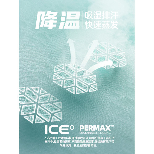 左右力量運動內褲男款防磨腿冰絲網面夏季透氣大碼平角短褲四角褲 左右力量運動內褲男款防磨腿冰絲網面夏季透氣大碼平角短褲四角褲