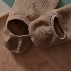 bi眼入！5雙基礎船襪女短襪薄款春夏淺口隱形襪子女可愛日系純棉